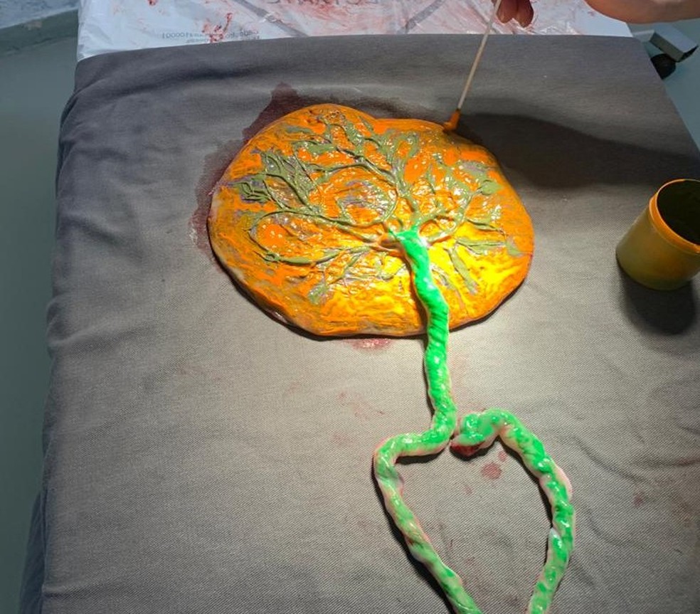 Placenta é usada como carimbo para fazer 'árvore da vida' — Foto: Divulgação/Prefeitura de Bertioga