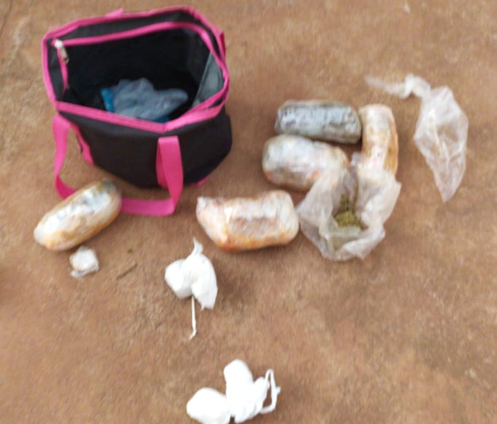 Drogas foram apreendidas durante a operação — Foto: Polícia Civil
