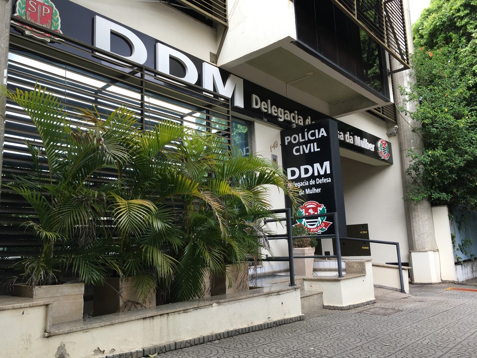 Investigações são feitas pela Delegacia de Defesa da Mulher em Presidente Prudente — Foto: Wellington Roberto/G1