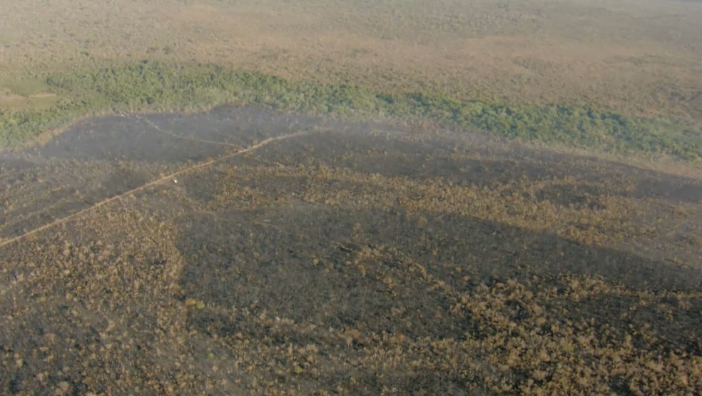 Imagem aérea na manhã desta quinta-feira (9) mostra destruição na Floresta Nacional em Brasília após incêndio iniciado na noite de quinta (8).  — Foto: TV Globo/Reprodução 
