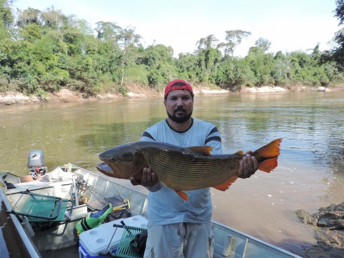 Três desses, Juliano? Só pode ser história de pescador mesmo (Foto: Divulgação/Phofish) Três desses, Juliano? Só pode ser história de pescador mesmo (Foto: Divulgação/Phofish)