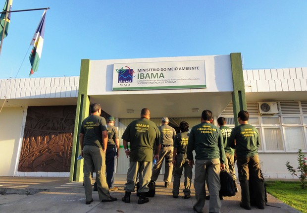 Ibama (Foto: Divulgação)