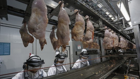 Receita das exportações de carne de frango cresceu 38,9% em janeiro