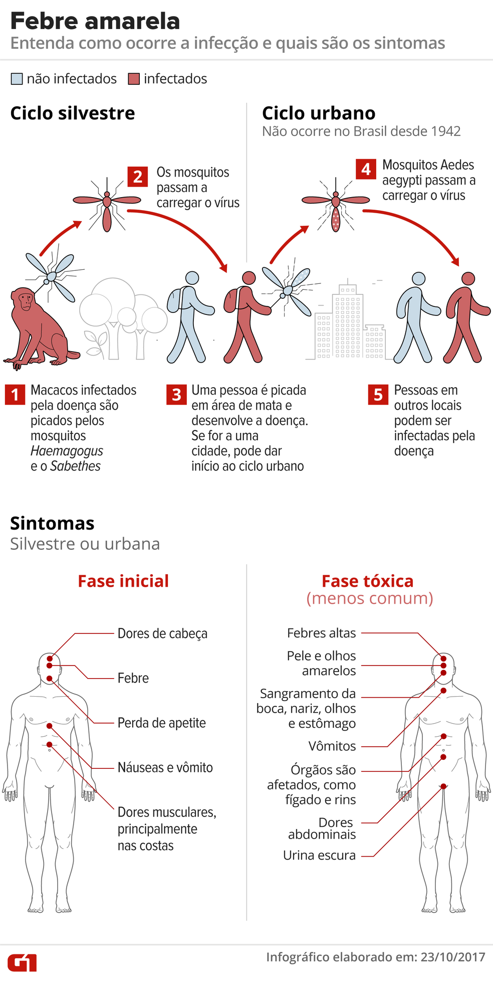 Entenda como ocorre a infecção e quais são os sintomas da febre amarela (Foto: Infografia: Alexandre Mauro)