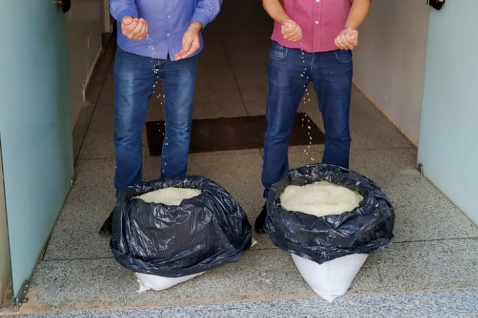 Prefeitura de Adamantina informou que comprou 500 quilos da partícula biodegradável desenvolvida por pesquisadores da Unicamp, feita de amido de milho e óleo essencial de tomilho, capaz de combater as larvas do mosquito Aedes aegypti — Foto: Prefeitura de Adamantina