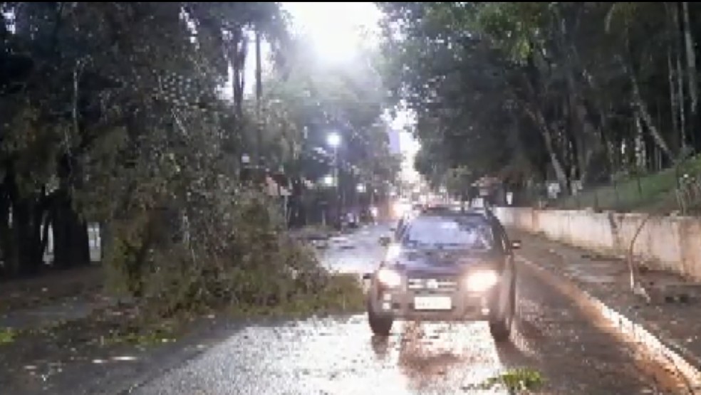 Granizo e vento derrubam árvores em bairros de Poços de Caldas — Foto: Reprodução/EPTV 