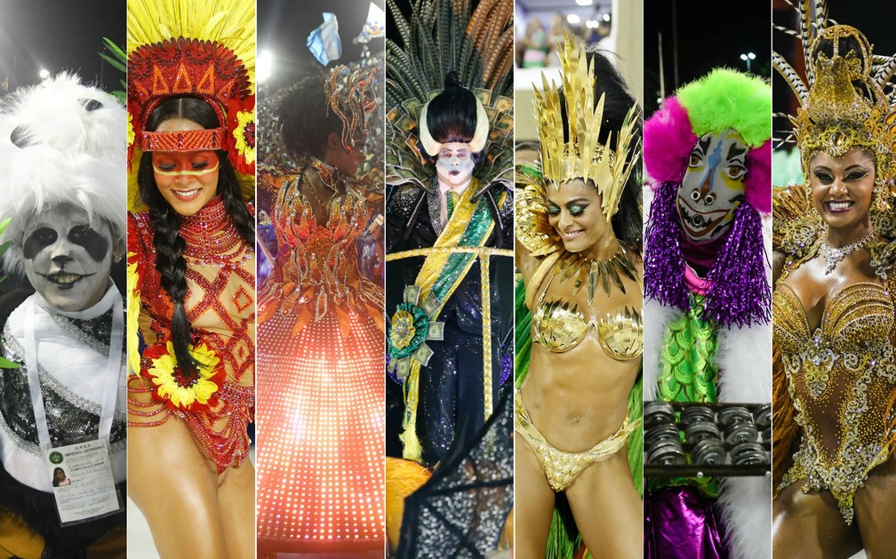 Da esquerda para a direita: Império Serrano, São Clemente, Vila Isabel, Paraíso do Tuiuti, Grande Rio, Mangueira e Mocidade. (Foto: Marcos Serra Lima e Alexandre Durão/G1)