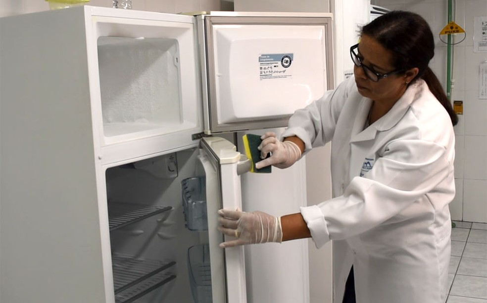 A pesquisadora Rosana Siqueira, de Campinas, mostra como a geladeira deve ser higienizada para evitar contaminação por fungos e bactérias. — Foto: Patrícia Teixeira/G1