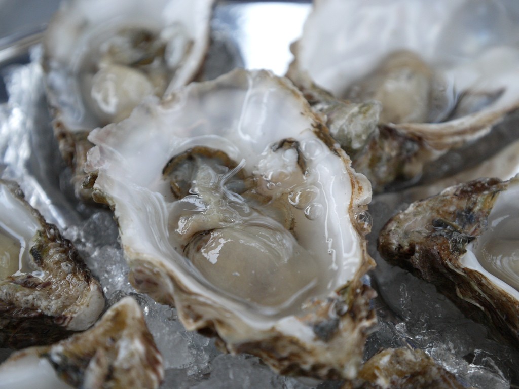 As ostras não têm o poder que pensávamos... nem vários outros alimentos (Foto: Flickr/Farrukh)