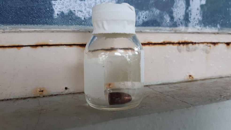  (Crédito: Carina Rocco/EPTV)