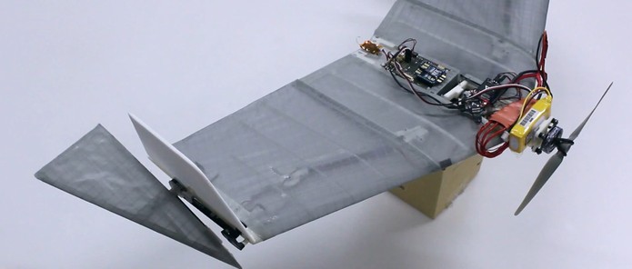 Drone DALER é capaz de voar e caminhar com adaptação automática das asas (Foto: Divulgação/Ludovic Daler)