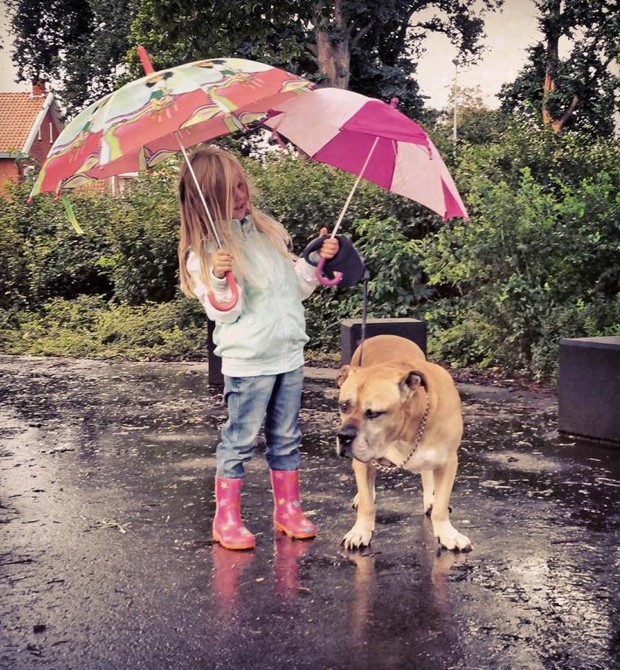 Amigos até debaixo de chuva! (Foto:  Caters)