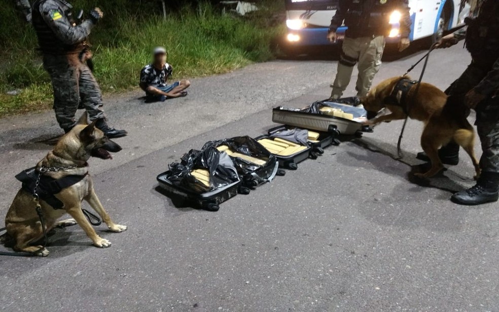 Droga estava em três malas dentro do bagageiro de um ônibus — Foto: PMSE/Divulgação