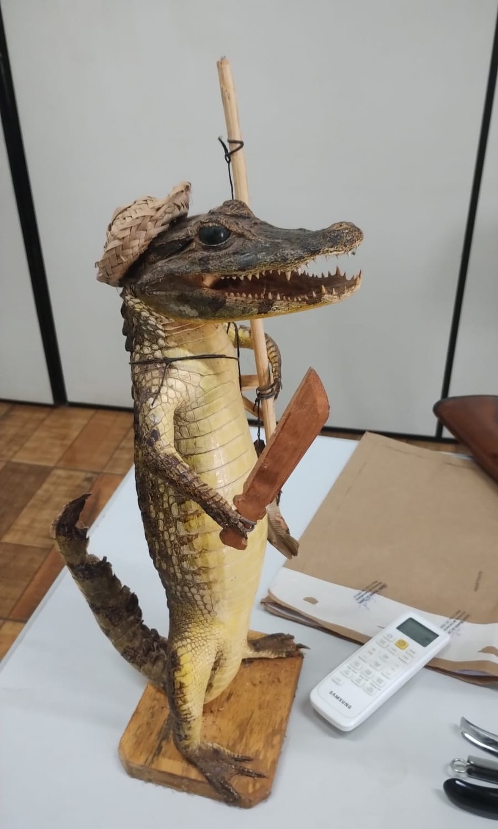 Jacaré taxidermizado é apreendido em fazenda em Araguari — Foto: Polícia Militar de Meio Ambiente/Divulgação