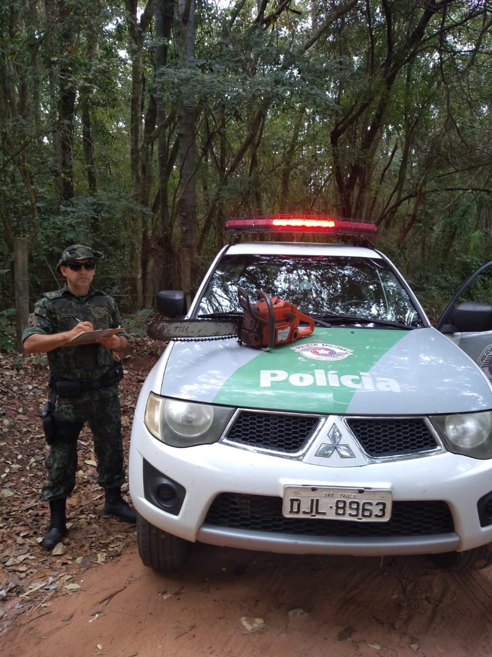 Desmatamento em Ã¡rea de preservaÃ§Ã£o foi flagrado em Rosana â€” Foto: PolÃ­cia Militar Ambiental