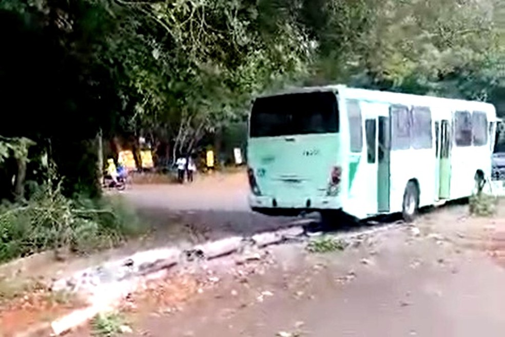 Poste foi totalmente derrubado após ser atingido pelo ônibus — Foto: Arquivo pessoal