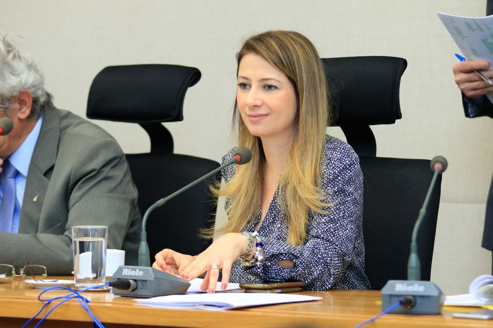 Deputada Sandra Faraj (SD) em sessão — Foto: Sergio Kremer/Divulgação