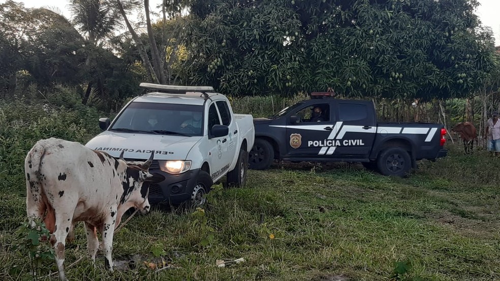 Corpo foi encontrado em terreno baldio em Parnamirim, na Grande Natal — Foto: Sérgio Henrique Santos/Inter TV Cabugi