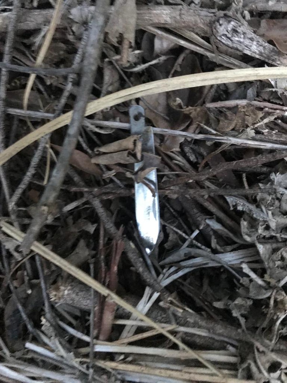 Vítima foi morta com golpes de canivete em Itatinga — Foto: Polícia Civil/Divulgação