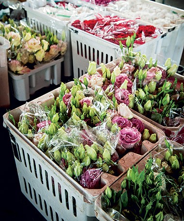 Na Mil Plantas, flores vendidas em maços. Lisiantos, R$ 18; rosas, R$ 45, com 20 botões; tulipas, R$ 25, e gérberas, R$ 15 (Foto: Ilana Bar/ Editora Globo)
