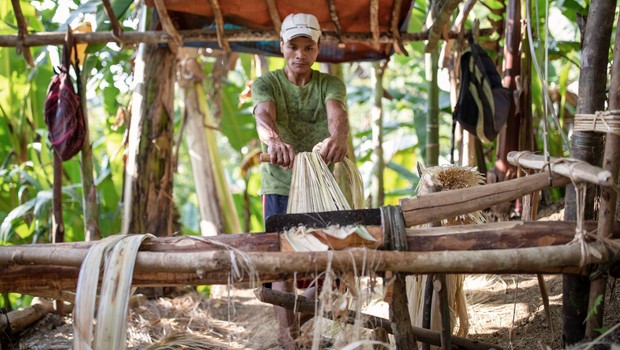 Produção das fibras a partir da bananeira nas Filipinas (Foto: Facebook/QWSTION)
