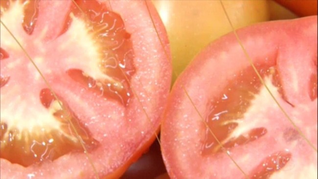 Confira mais notícias da agricultura pelo país