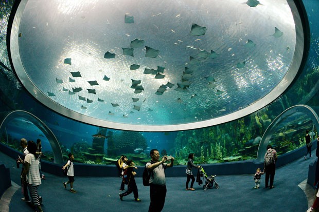 Visitantes no aquário do Chimelong Ocean Kingdom, considerado o maior do mundo (Foto: Mark Ralston/AFP)