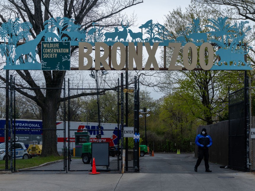 Zoológico do Bronx, em Nova York, hoje em dia (Foto: Getty Images)