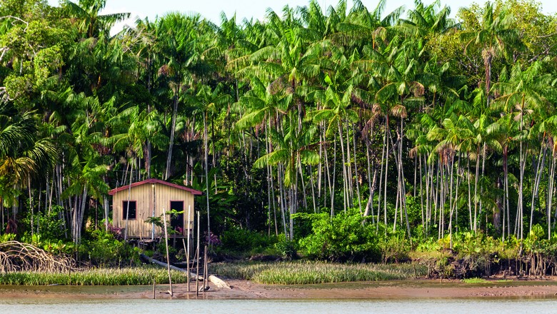 MORADA Casa de produtores extrativistas em comunidade ribeirinha às margens do Rio Abaeté, em Abaetetuba, no Pará. (Foto: Fernando Martinho)