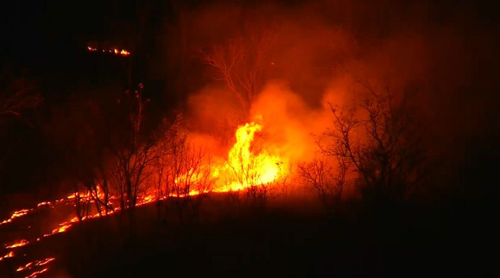 IncÃªndio atinge o Horto de Juazeiro do Norte, no CearÃ¡. â€” Foto: TV Verdes Mares