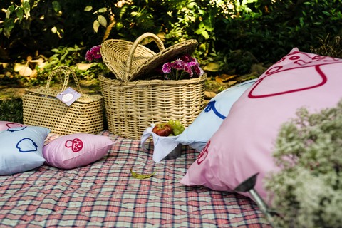 Tecido xadrez sobre a grama, almofadas e cesta de vime: está pronto o cenário para o piquenique!