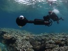 Google incorpora imagens de recife de coral no Street View