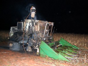 Mesmo com a proporção do incêndio, plantação não foi afetada. (Foto: Ribeiro Júnio/ Agora News)
