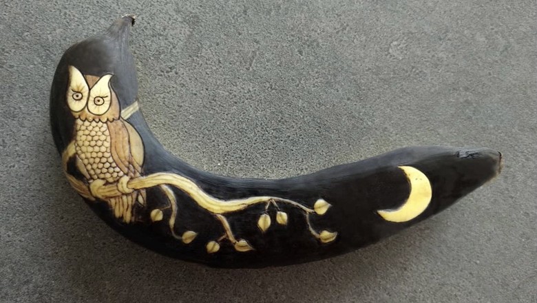 Arte na casca de banana (Foto: Anna Chojnicka/Reprodução Instagram)