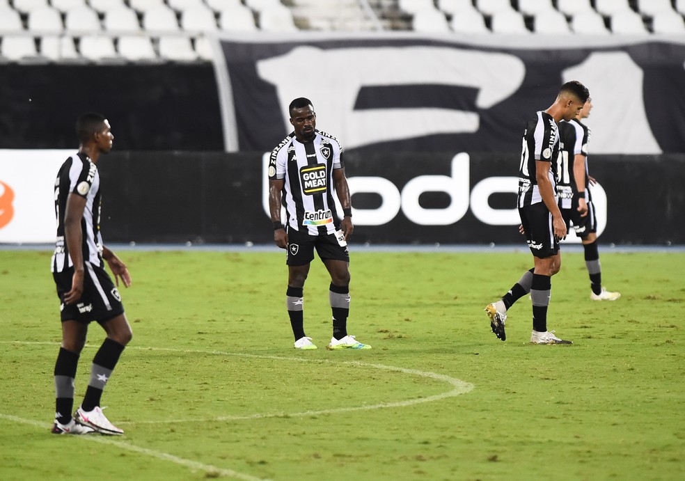 Jogadores do Botafogo lamentam um dos 62 gols sofridos pela equipe no Brasileirão — Foto: André Durão