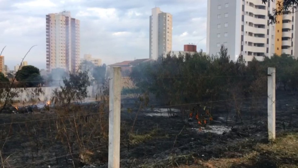 Queimada foi registrada na manhã desta quinta-feira no Jardim Panorama em Bauru (Foto: Evandro Cini/ TV TEM)