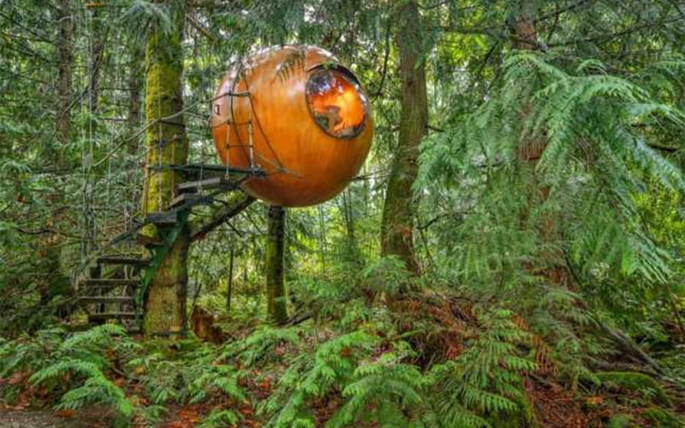Free Spirit Spheres, Vancouver Island – Canadá (Foto: Free Spirit Spheres / Divulgação)