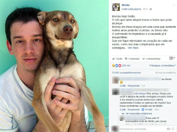 Ninão, cachorro que tem mais de 600 mil seguidores no Facebook morreu na terça-feira (13) em Curitiba (Foto: Reprodução/Facebook)