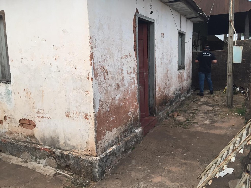 Operação Canis foi realizada em Pirapozinho, Presidente Prudente e Bauru — Foto: Murilo Zara/TV Fronteira