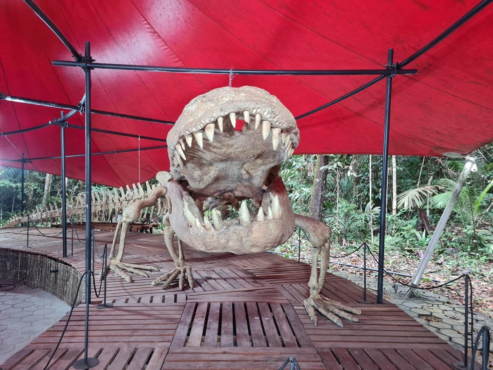Purussaurus brasiliensis