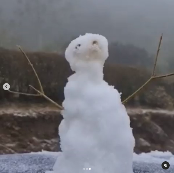 O boneco de neve registrado no estado de Santa Catarina (Foto: Reprodução/Instagram)