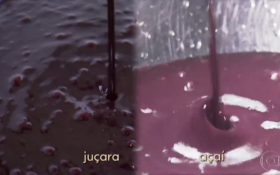 Polpa da juçara e do açaí são muito parecidas — Foto: TV Globo
