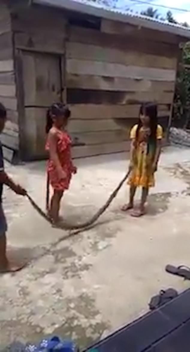 Crianças brincam com cobra morta no Vietña (Foto: Reprodução)