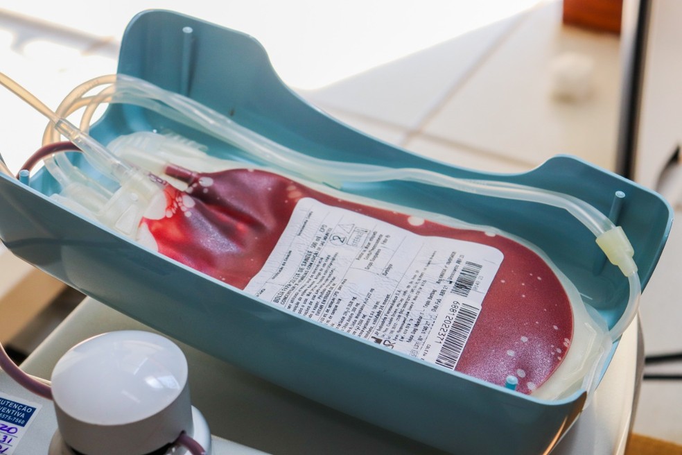 Bolsa de sangue, doação de sangue — Foto: Danna Anute/Arquivo pessoal 