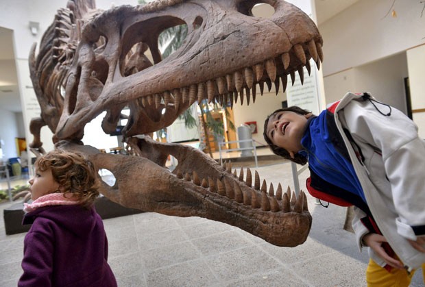Criança olha dentro de crânio de Tiranossauro Rex no Egidio Feruglio Museum, na Argentina, em foto de 2014 (Foto: Maxi Jonas/Reuters)