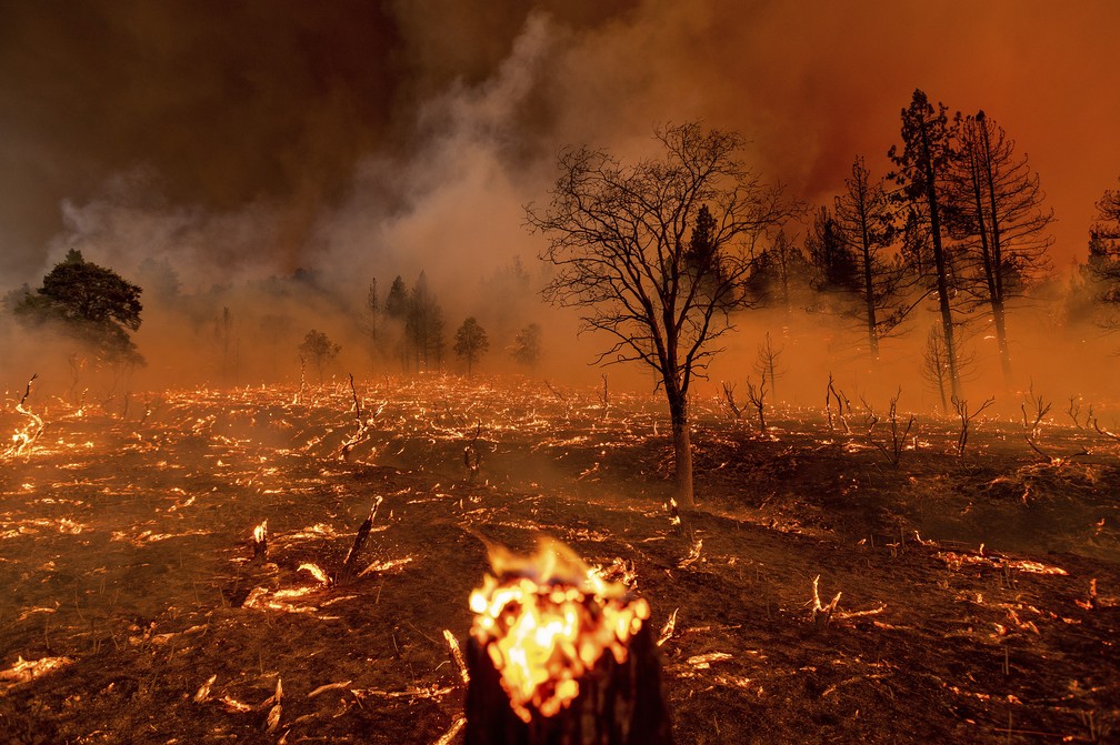 9 de julho - Incêndios florestais devastaram a Costa Oeste dos Estados Unidos. A fumaça das queimadas cruzou o país e chegou a cobrir o céu de Nova York — Foto: Noah Berger/AP