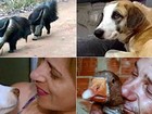 Retrospectiva 2016: Reveja casos de animais que foram notícias no ano