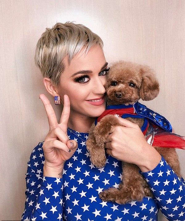 Katy Perry e seu cachorrinho Nugget (Foto: Instagram)