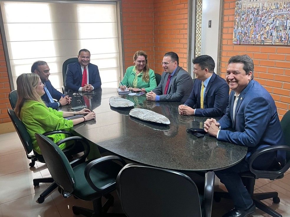 Membros da CPI que apura irregularidades na Equatorial Piauí. — Foto: Isabela Leal / g1 