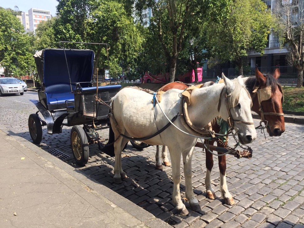 Charrete Eletrica E Testada Em Petropolis Rj Como Alternativa Para Substituir Antigas Vitorias Regiao Serrana G1